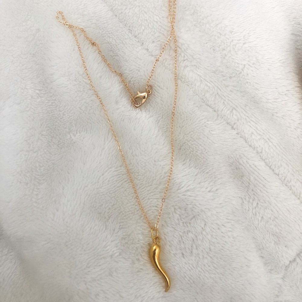 Italian Horn 16 in. Gold color stainless